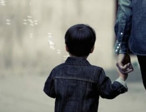 What Are the Differences Between Shared Custody and Joint Custody?